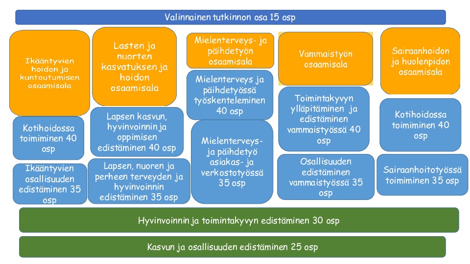 Sosiaali- Ja Terveysalan Perustutkinto, Lähihoitaja